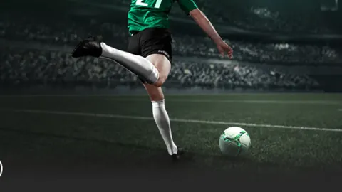 大湾区经济蓬勃兴起，携手共创双赢局面