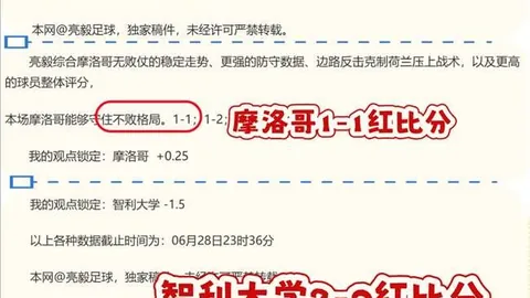 41岁传奇瓦林卡与贝雷蒂尼：温网巅峰对决，三冠王最后一舞