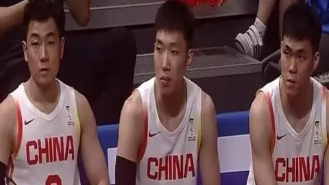 东南锦专栏赛事复盘：详细比分与胜负分析全解析