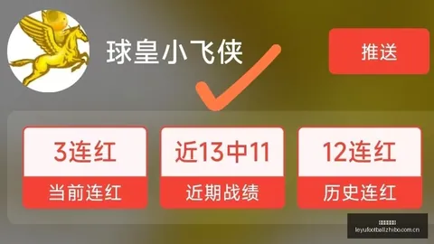 吉马良斯英超赛季进球全记录：三连跳，上季9进球5助，高效表现